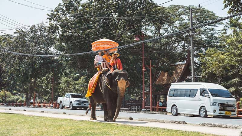 maltrato elefantes ayutthaya tailandia